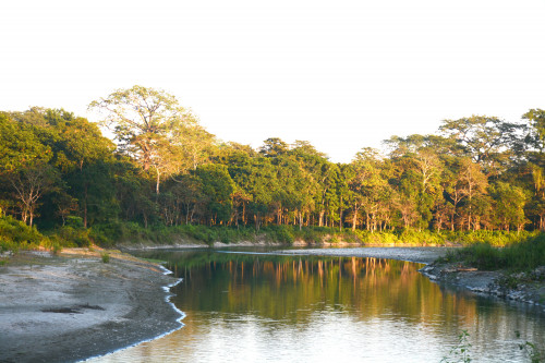 Ecological challenges are different in North Bengal