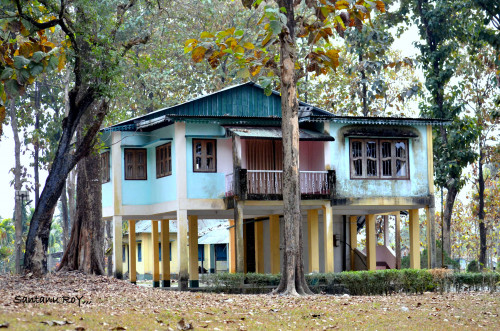 Bandapani