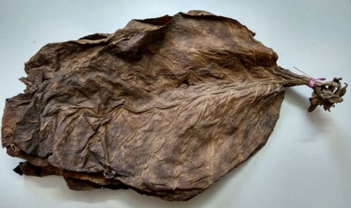 Skilled workers of Tobacco Godowns in Cooch Behar smell danger