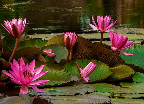 Sharad Sangbad