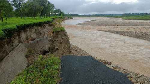 Bipanna Bishanna Tarai Dooars