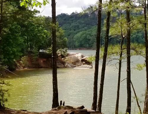 A piece of Dooars discovered at Atlanta