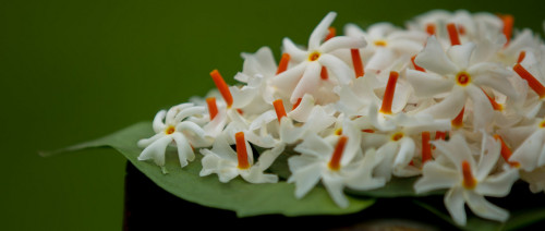 Debipaksha initiates new chapter in life